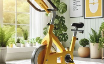 Sunny Health And Fitness Bike